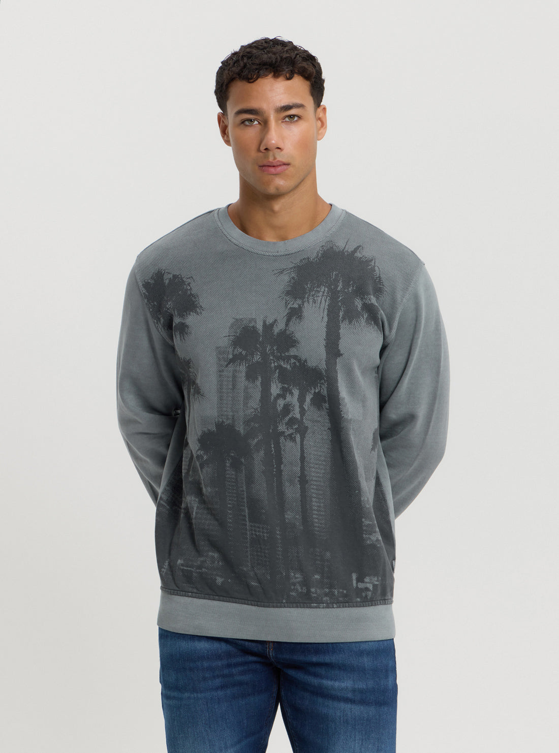 Eco Grey Palm Jumper