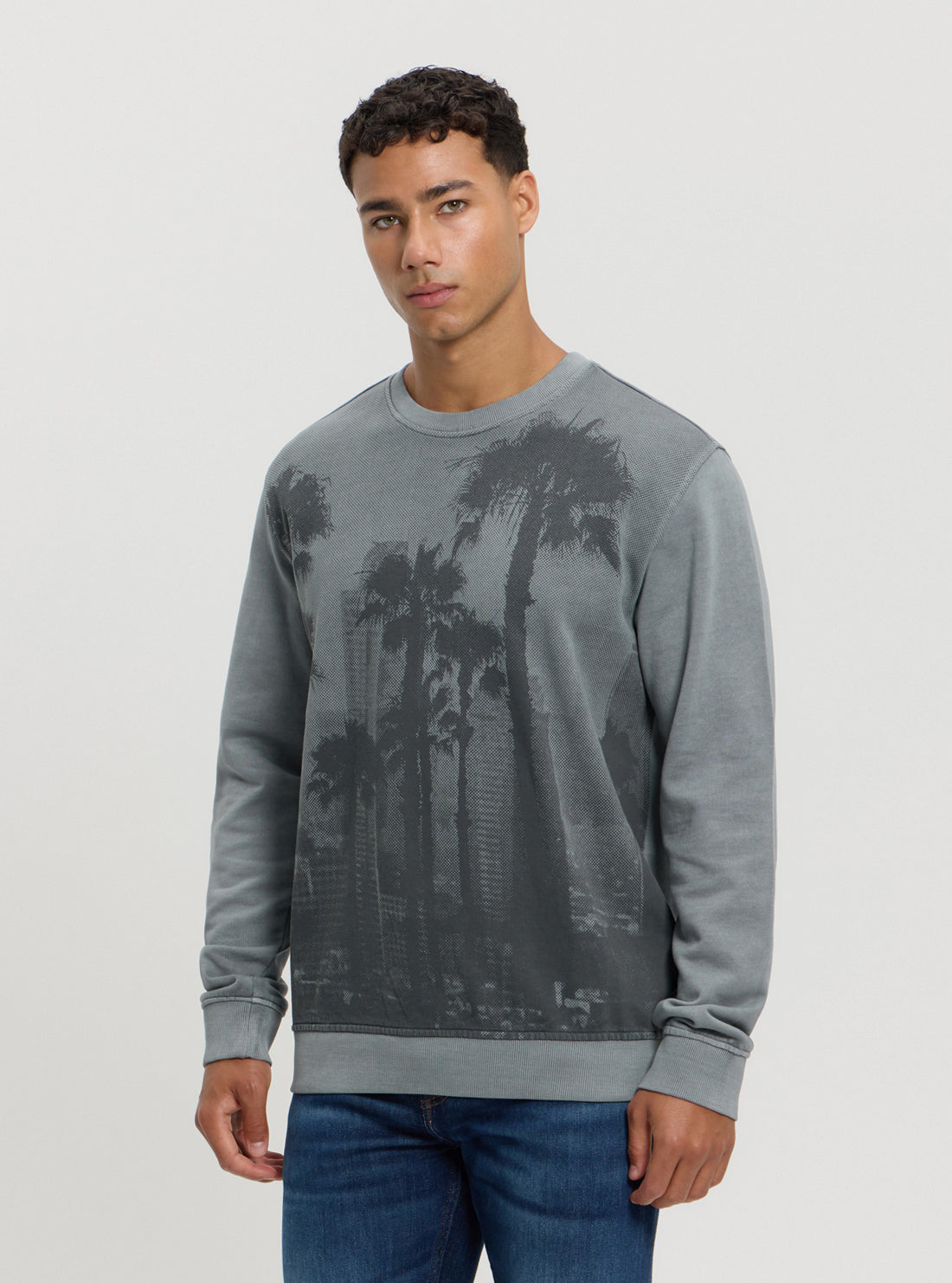 Eco Grey Palm Jumper