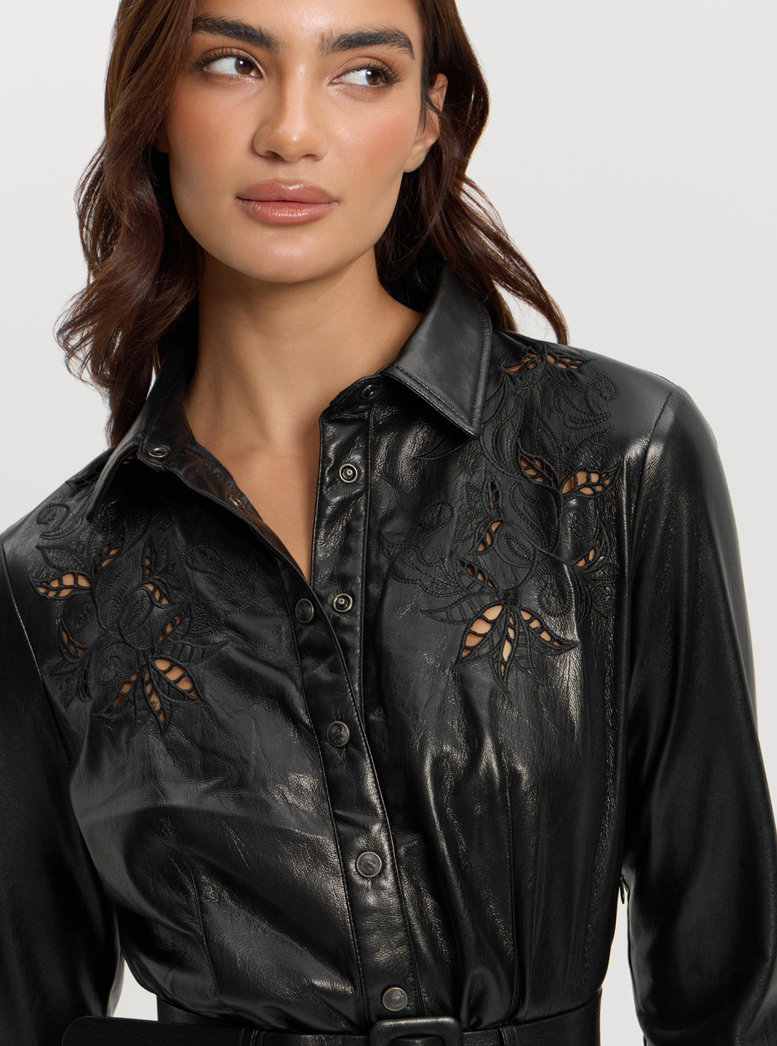 Black Gabrielle Embroidered Mini Dress