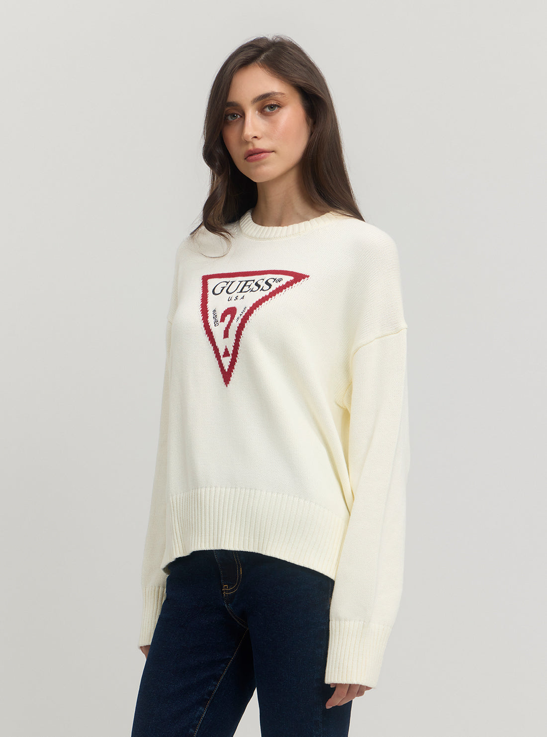 Guess Jeans Long Sleeve Crew Neck Big Triangle Sweater